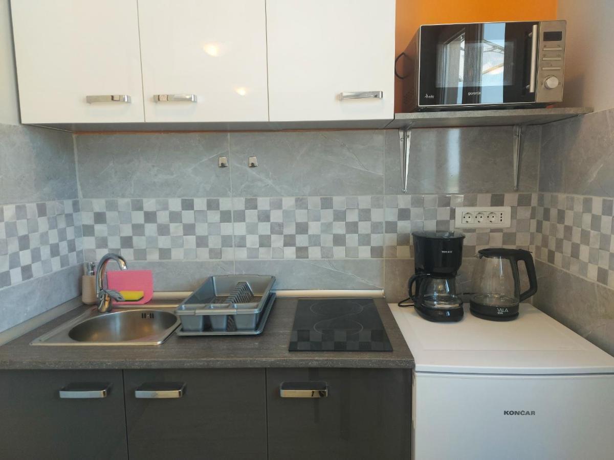 Studio Apartment Palmira Ližnjan エクステリア 写真