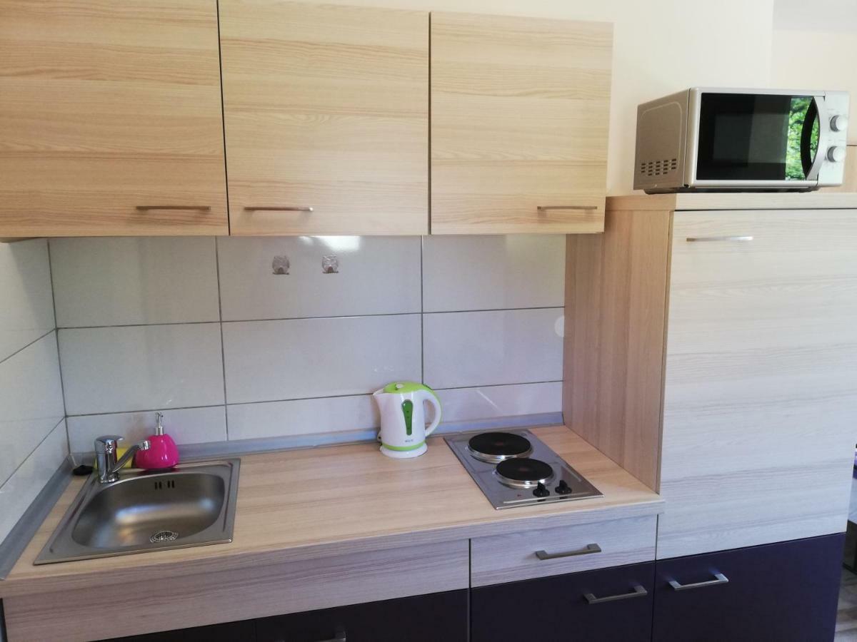 Studio Apartment Palmira Ližnjan エクステリア 写真