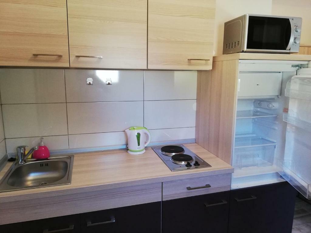 Studio Apartment Palmira Ližnjan エクステリア 写真